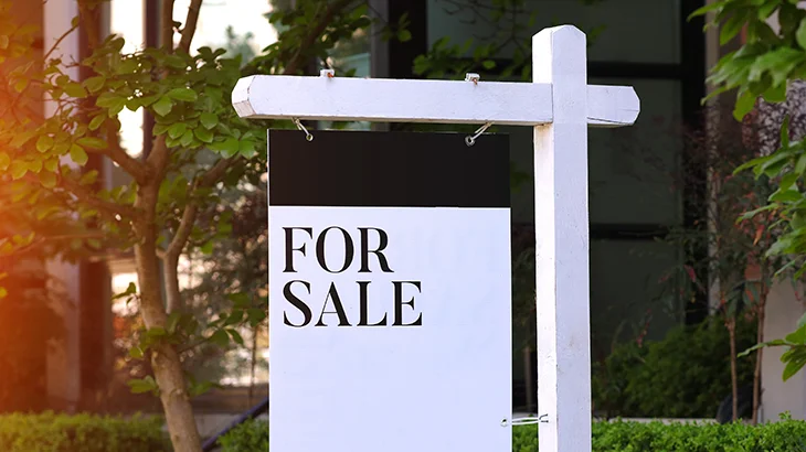 Real Estate Professionals